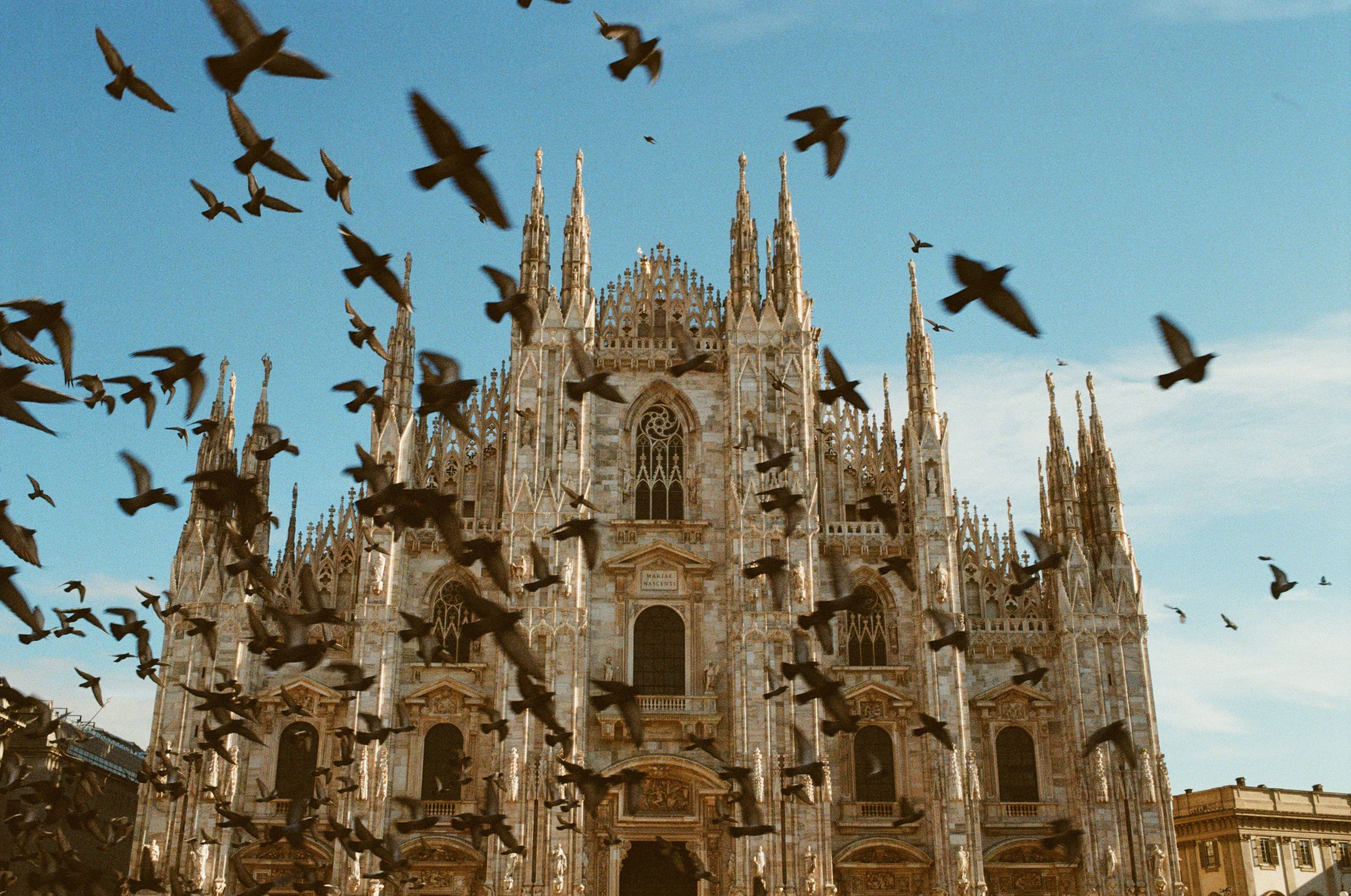 The Milan kitchen